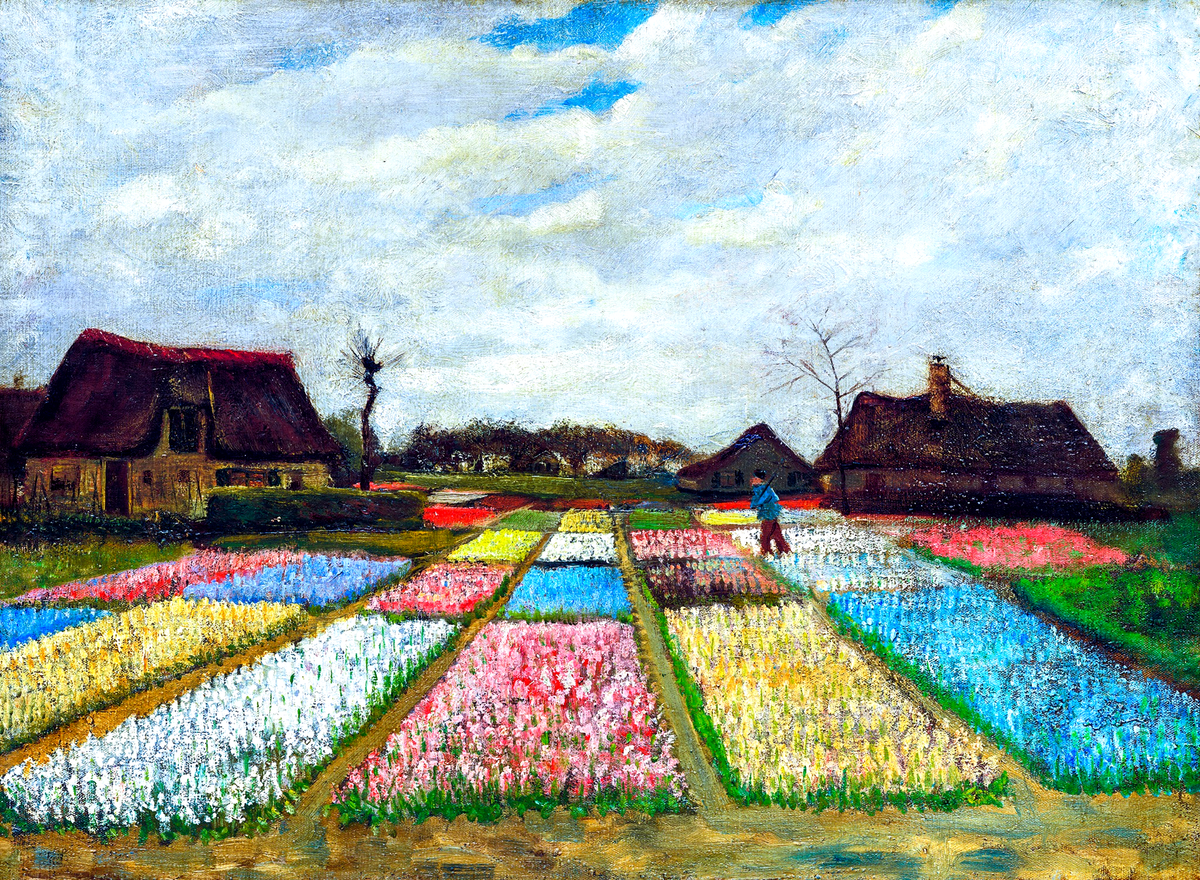 Bulb Fields