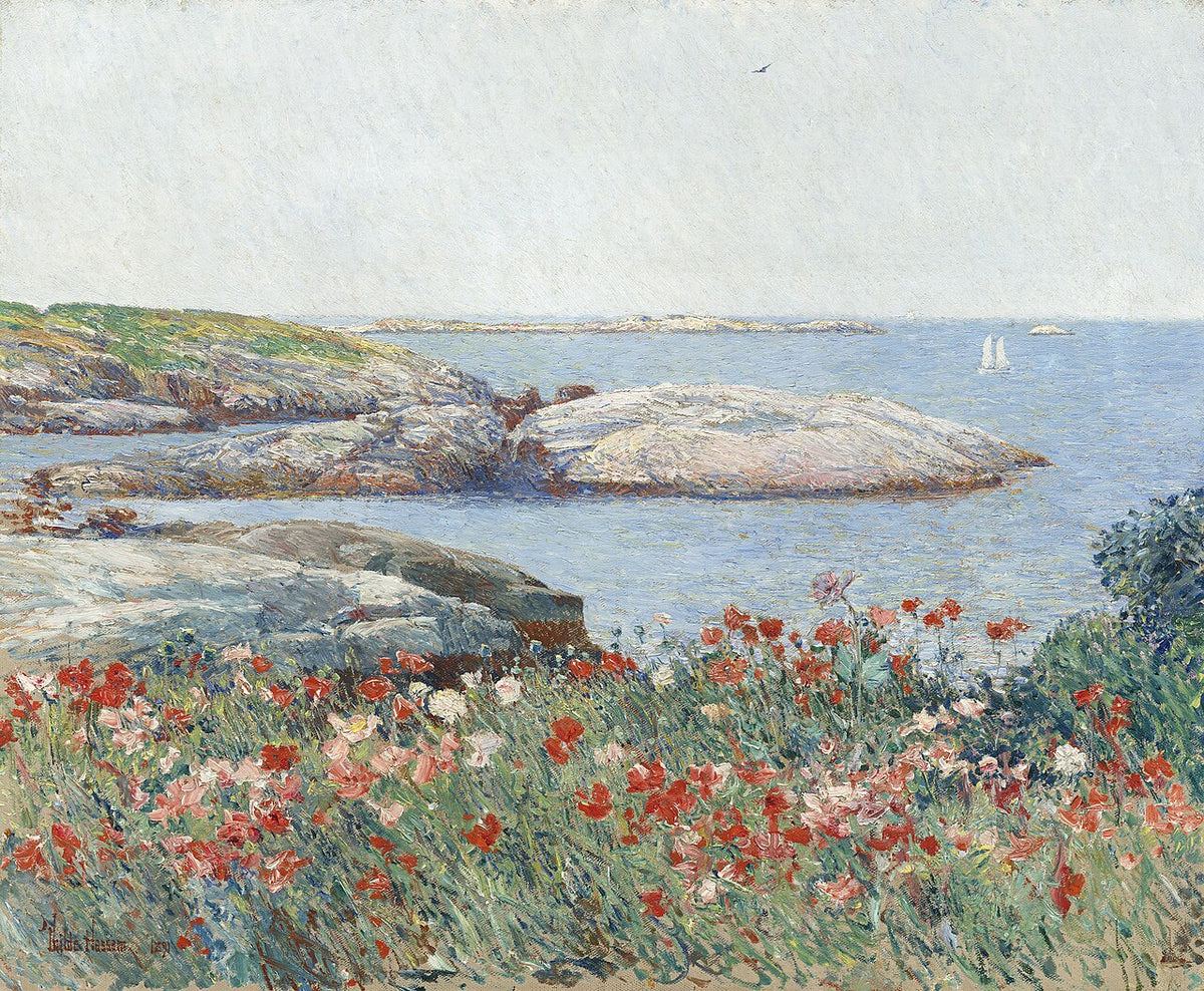 Poppies, Isles of Shoals