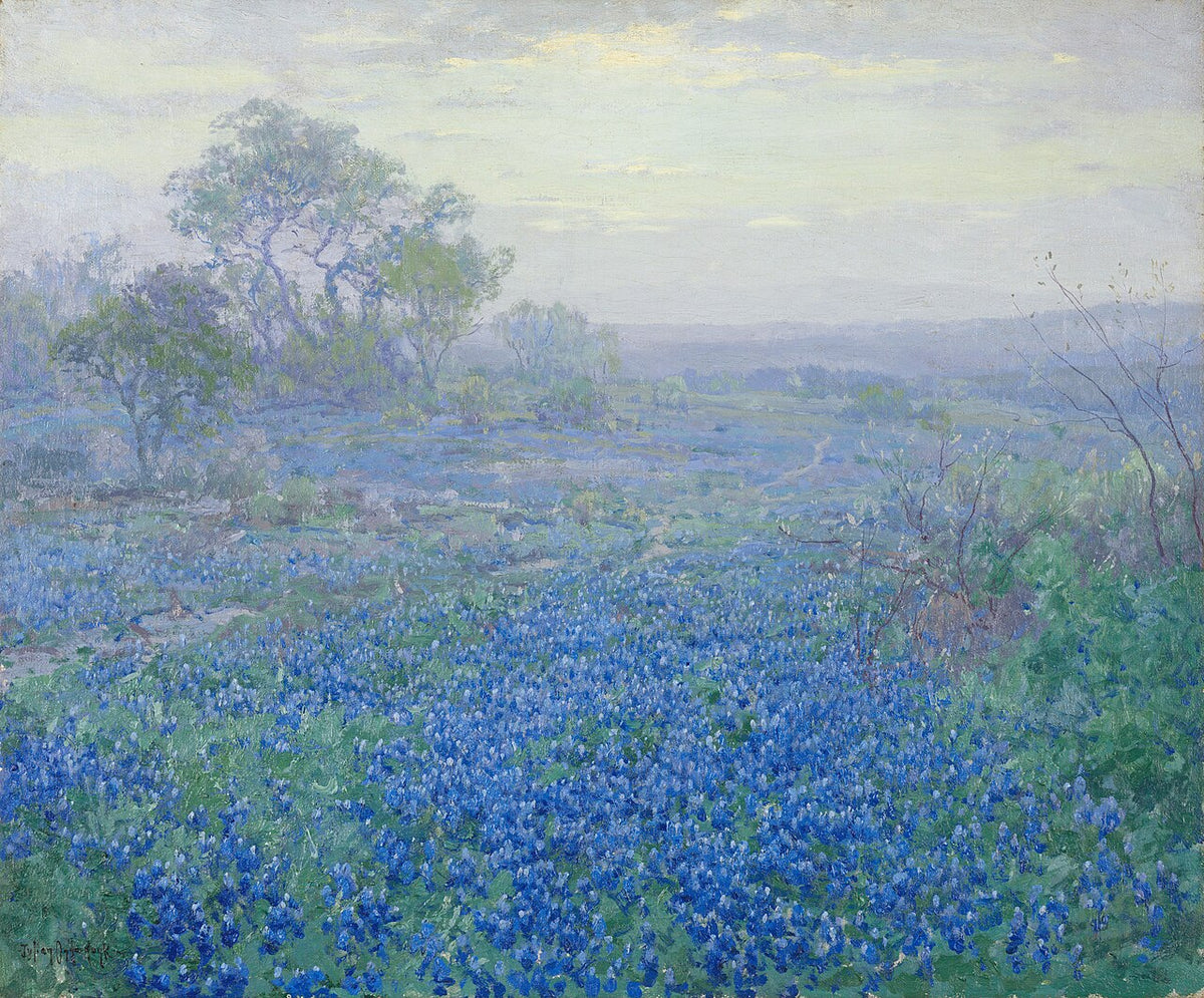 A Cloudy Day, Bluebonnets