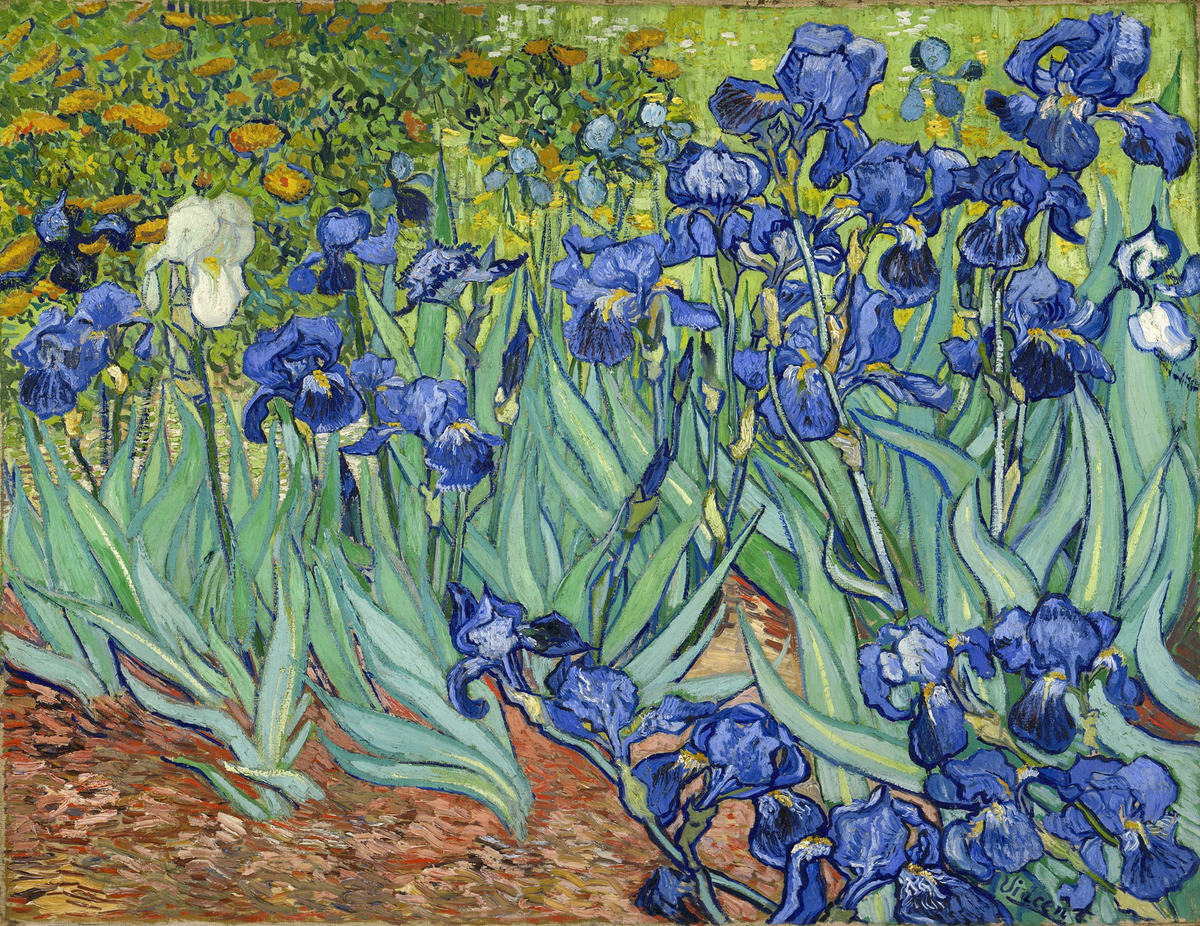 Irises
