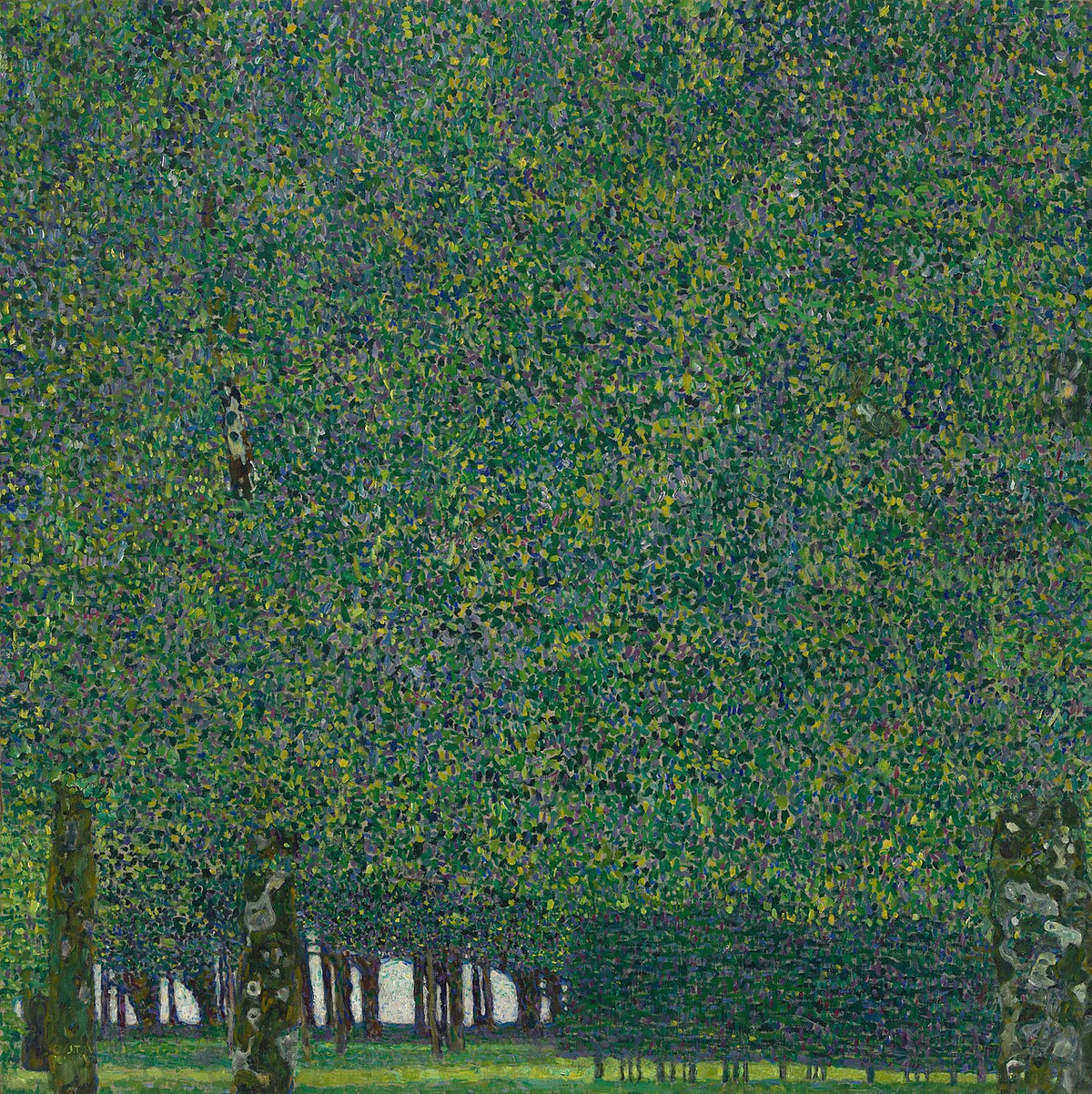 The Park